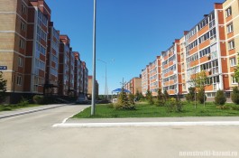 yuzhnyyparkmay_4.jpg