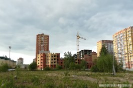 zolotayaseredinamay_1.jpg
